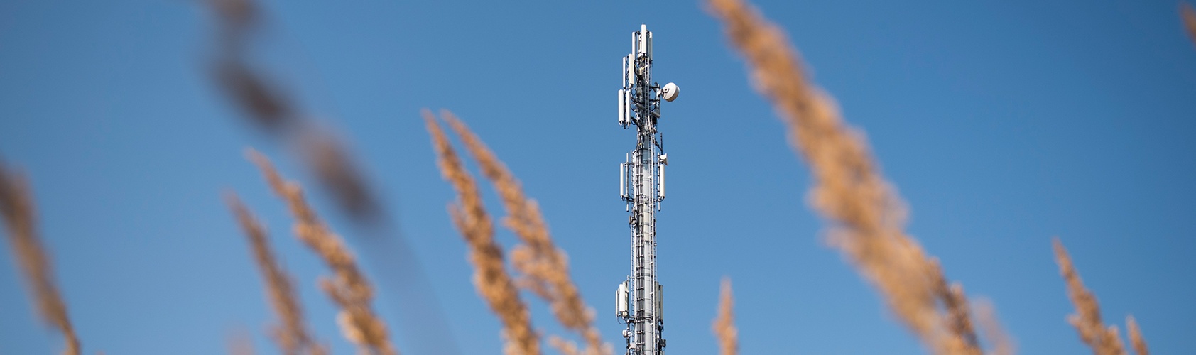 Mobilfunkmast in ländlicher Umgebung - Ausbau im Einklang mit der Natur