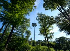 Koblenz TV Tower surrounded by trees and green space