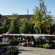 Antenne auf Hausdach versorgt den Münsteraner Wochenmarkt mit Mobilfunk
