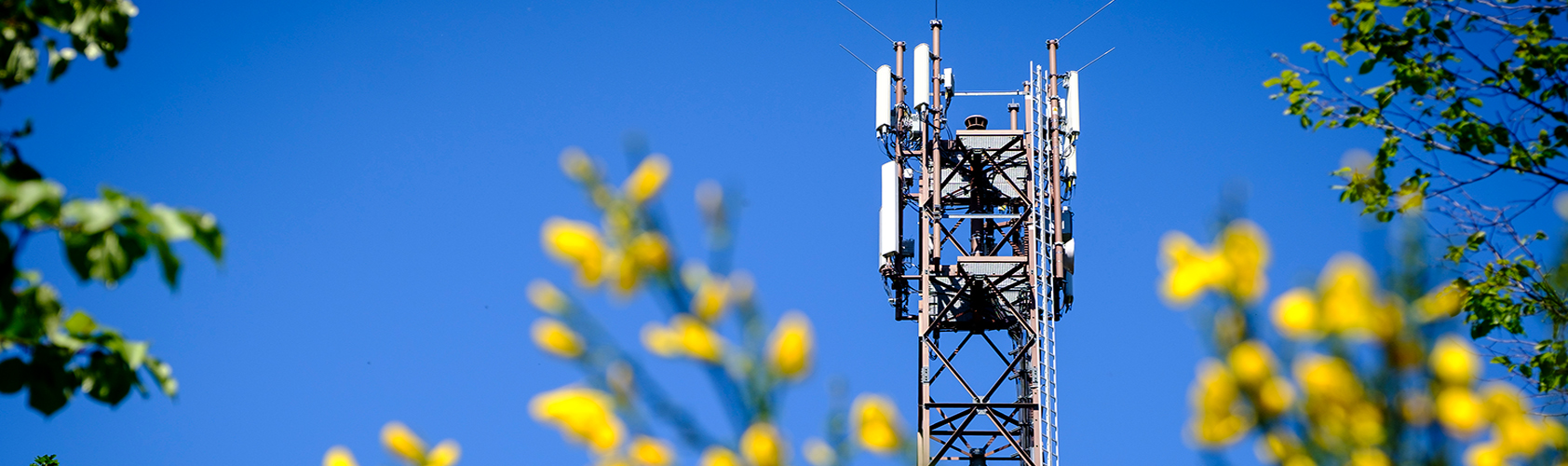 Steel-grid mast supplies rural area with mobile communications